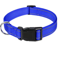 Ciondolo AAFQ™ - 12 mesi di protezione naturale per cani
