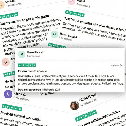 Ciondolo AAFQ™ - 12 mesi di protezione naturale per cani