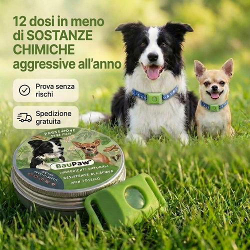 Ciondolo AAFQ™ - 12 mesi di protezione naturale per cani
